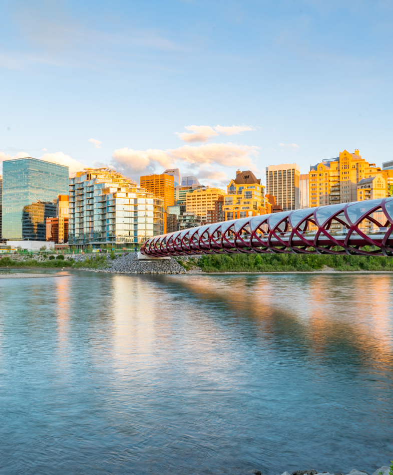 a photo of the Peace Bridge in Calgary, Alberta